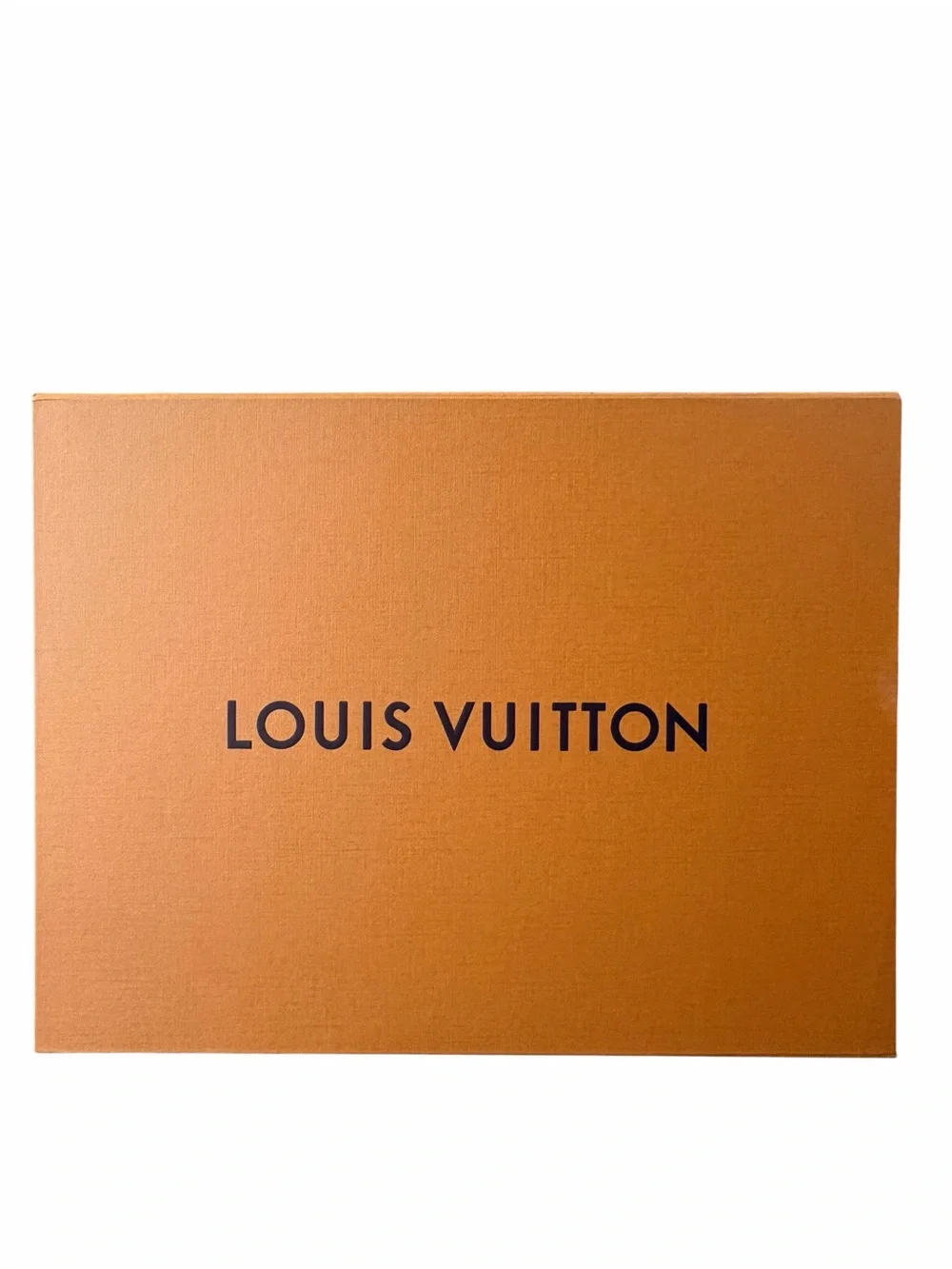 Louis Vuitton Large Gift Bag & Box